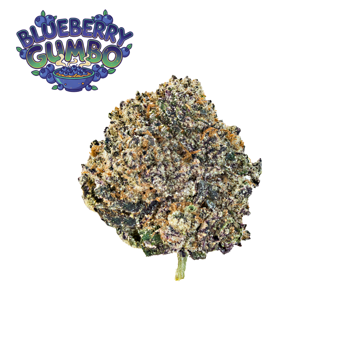 Blueberry_Gumbo Blueberry Gumbo - Image 1