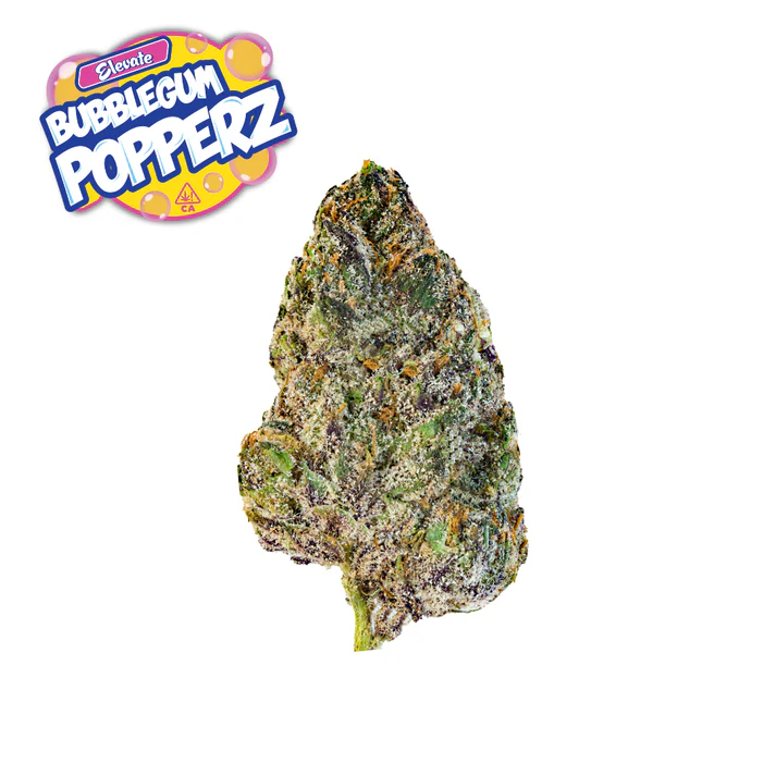 Bubblegum_Popperz Bubblegum Popperz - Image 1