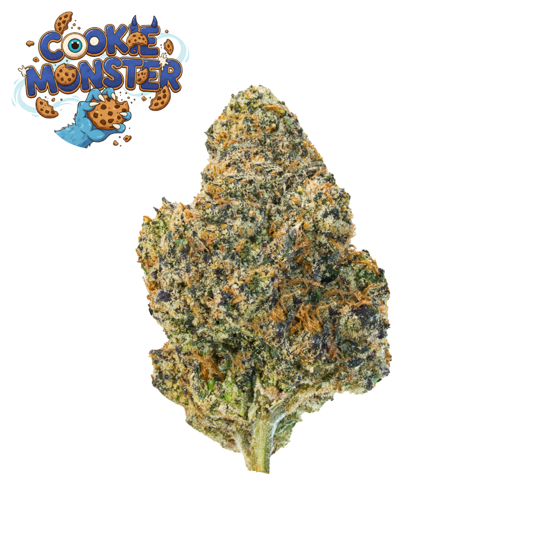 Cookie_Monster Cookie Monsterm - Image 1