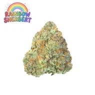 Rainbow Sherbert