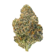 Purple Gas Mintz - Image 2